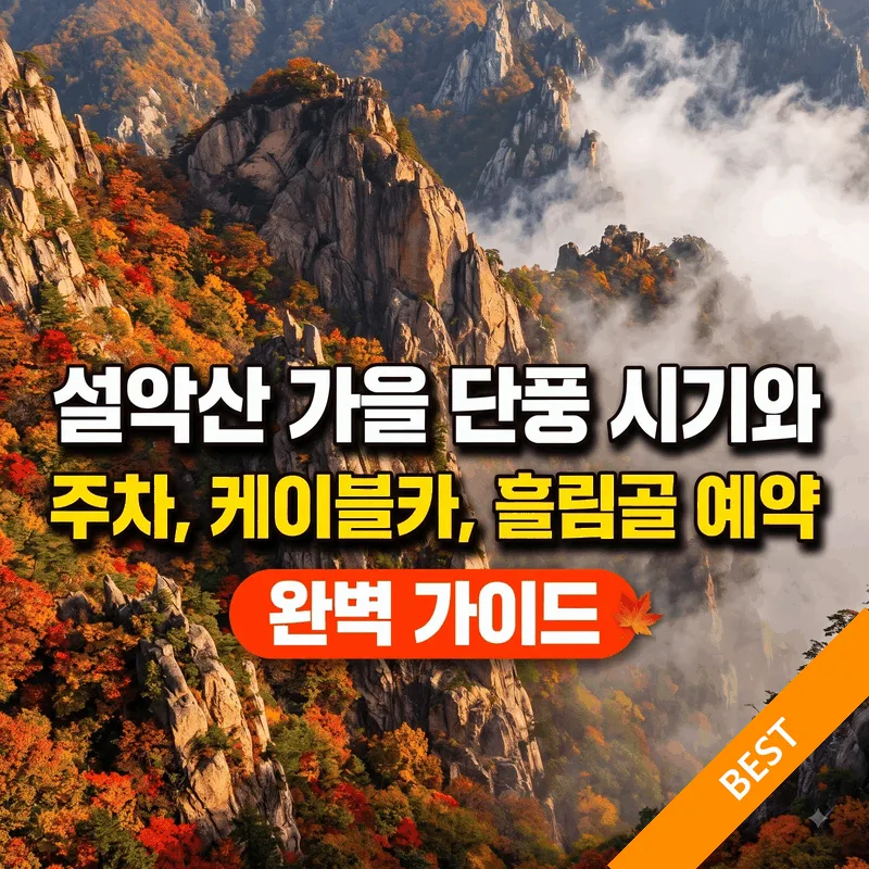 설악산 가을 단풍 시기와 주차, 케이블카, 흘림골 예약 완벽 가이드