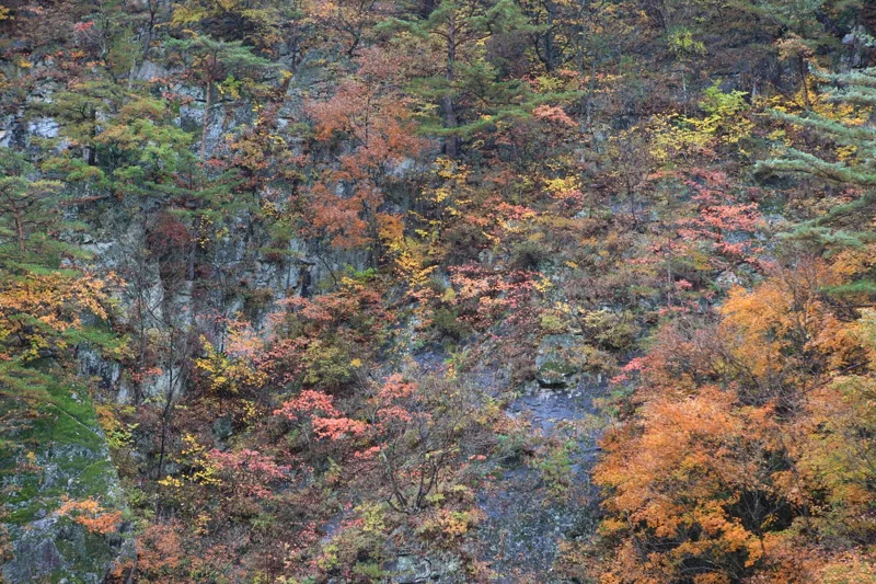 설악산국립공원