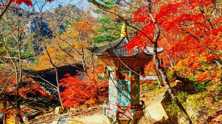 설악산 단풍 / 사진=게티이미지뱅크