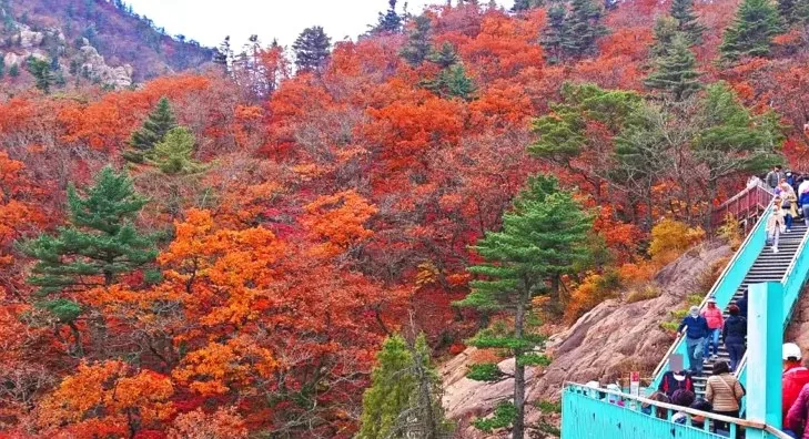 권금성 올라가는 길 / 사진=강원도 공식 블로그
