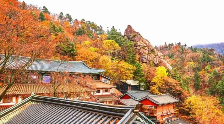 신흥사 가을 풍경 / 사진=강원도 공식 블로그