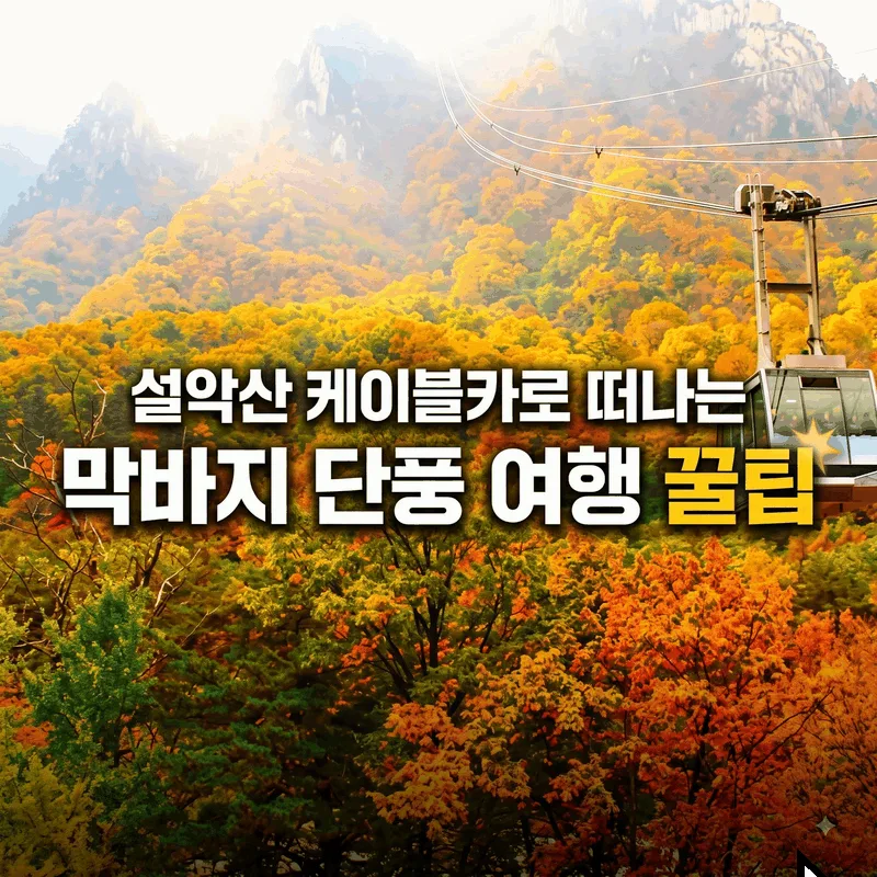 설악산 케이블카 타고 떠나는 마지막 가을 단풍 여행 팁