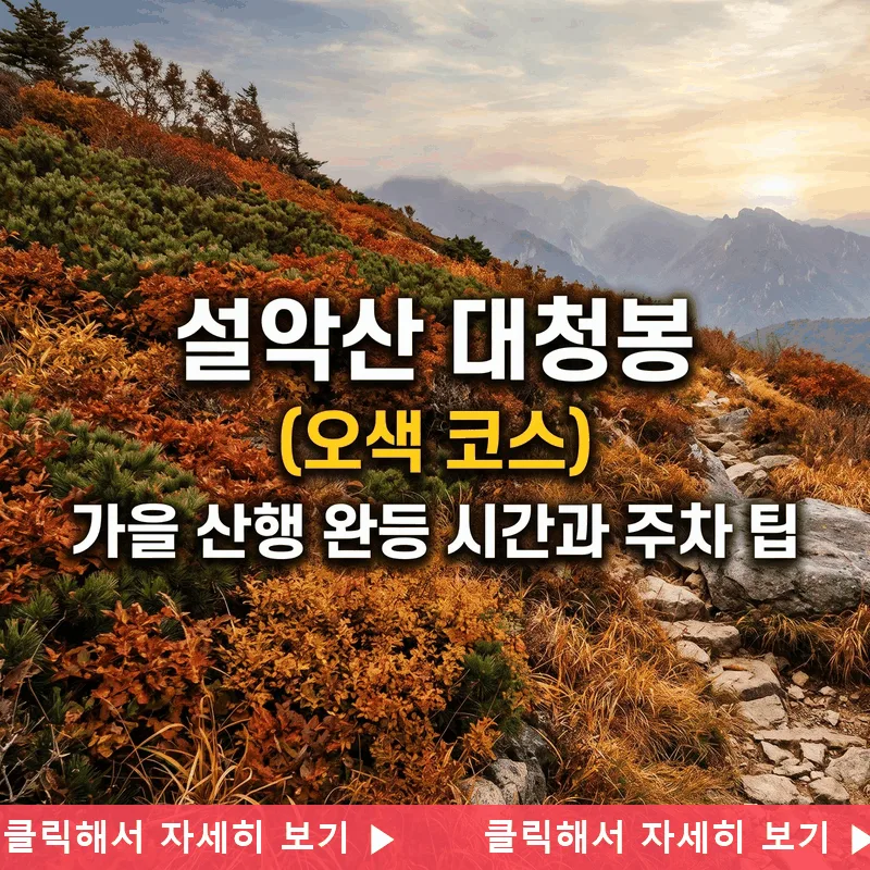 설악산 대청봉(오색 코스) 가을 산행 완등 시간과 주차 팁