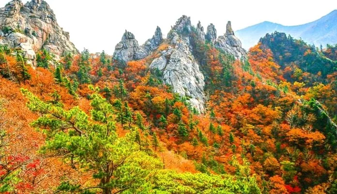 설악산 전경 / 사진=게티이미지뱅크