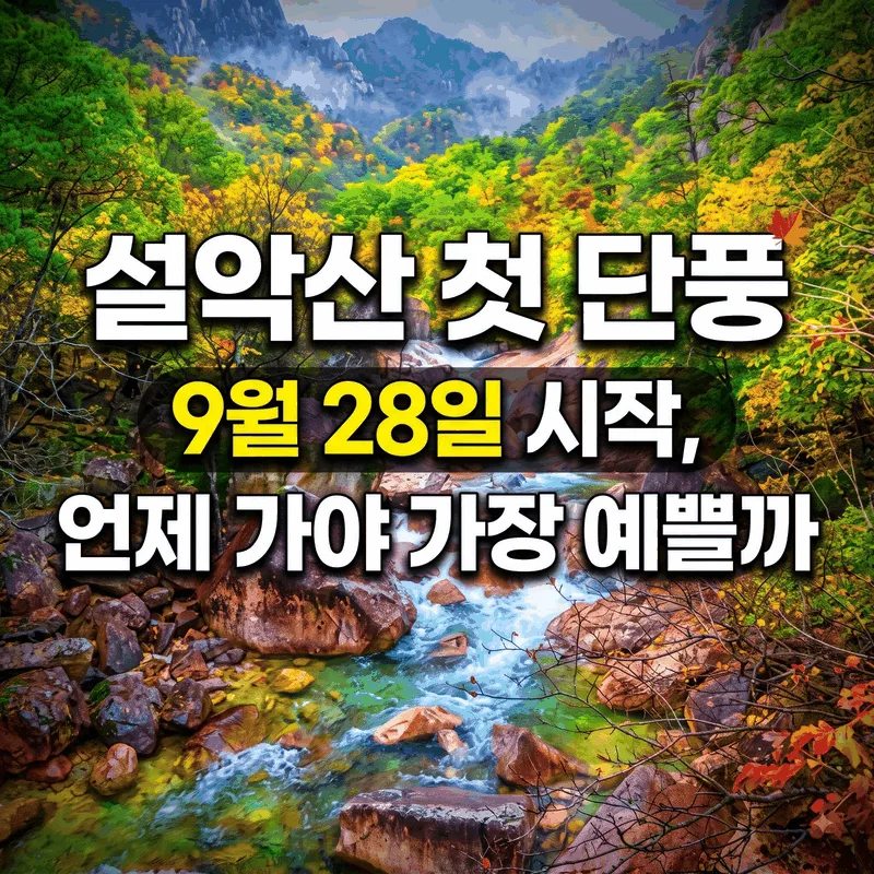 설악산 첫 단풍 9월 28일 시작, 언제 가야 가장 예쁠까