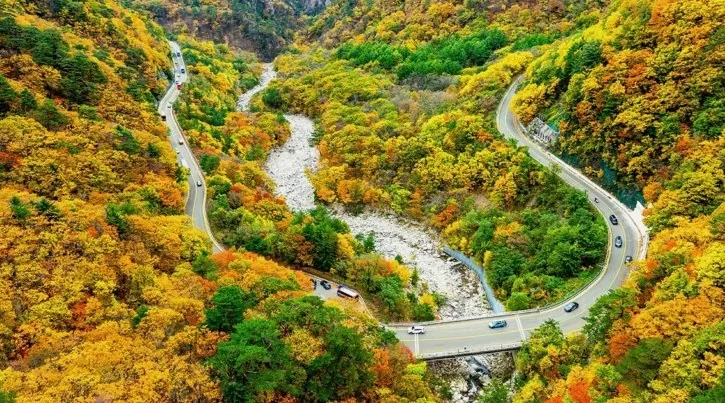 설악산 흘림골 / 사진=게티이미지뱅크