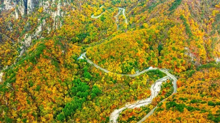 설악산 흘림골 전경 / 사진=게티이미지뱅크