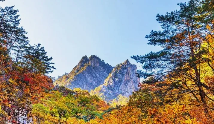 설악산 국립공원 / 사진=게티이미지뱅크