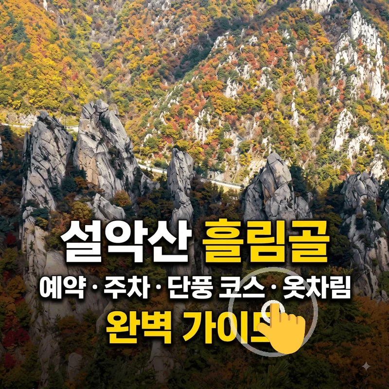 설악산 흘림골 예약 주차 단풍 코스 옷차림 완벽 가이드