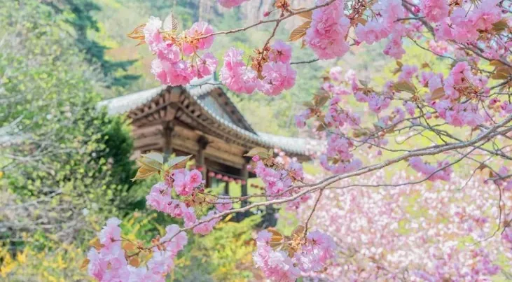 설악산 국립공원 / 사진=ⓒ한국관광공사 홍정표