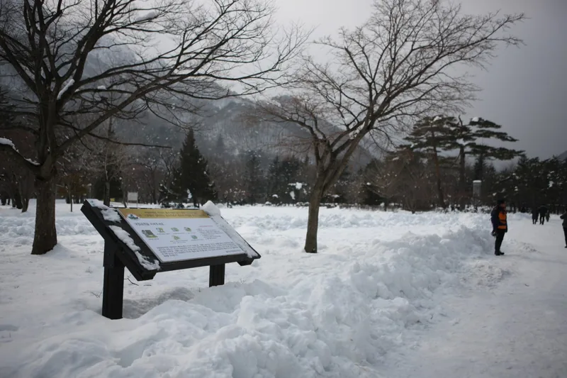 설악산국립공원