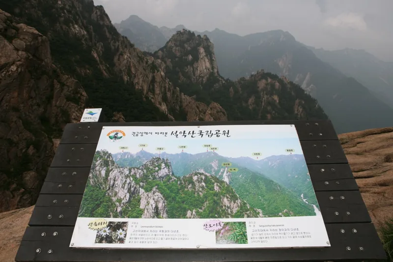 권금성
