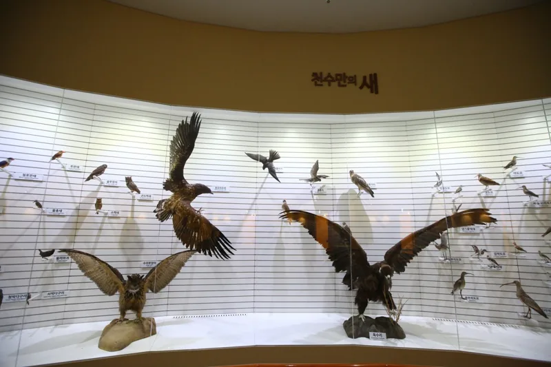 버드랜드
