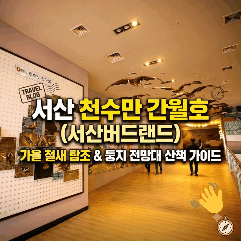 서산 천수만 간월호(서산버드랜드) 가을 철새 탐조와 둥지전망대 산책 가이드