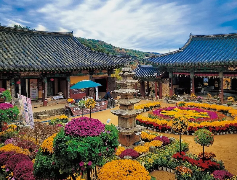개심사 상세이미지1