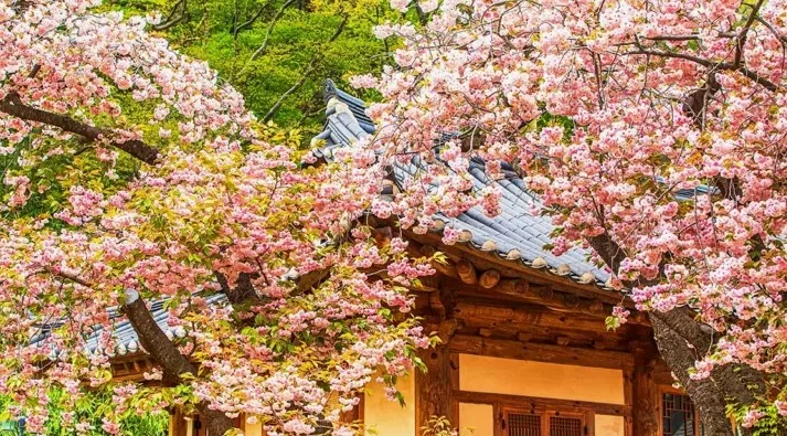 서산 개심사 풍경 / 사진=게티이미지뱅크