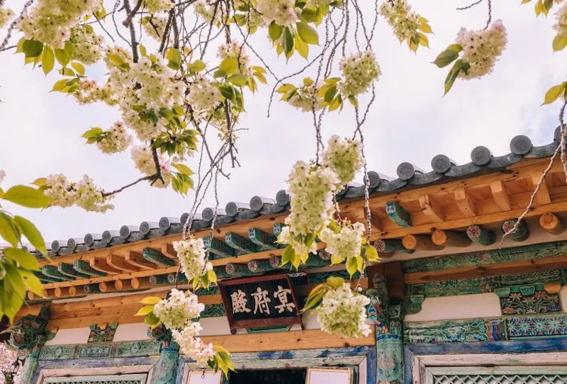 개심사 상세이미지7