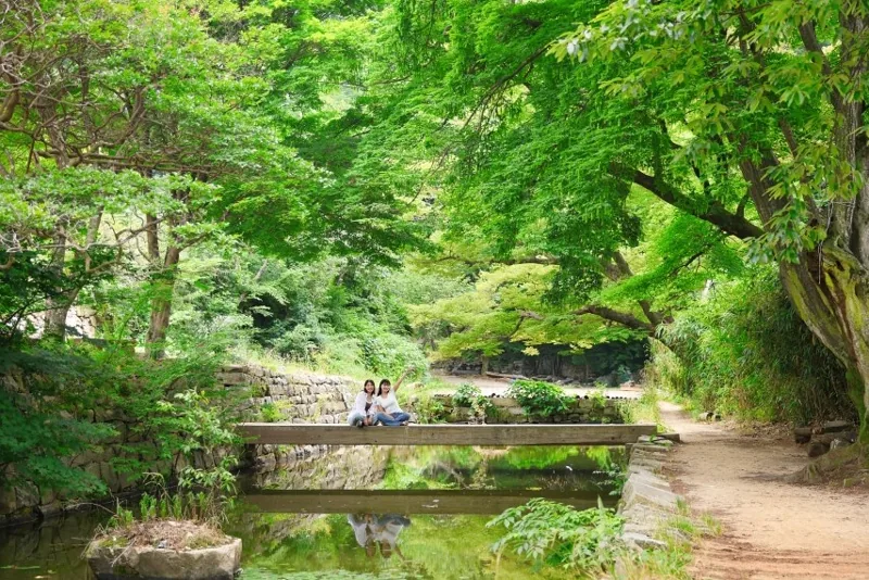 개심사 상세이미지9