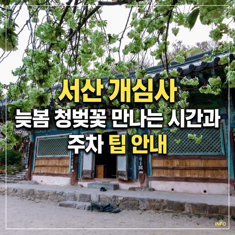 서산 개심사 늦봄 청벚꽃 만나는 시간과 주차 팁 안내