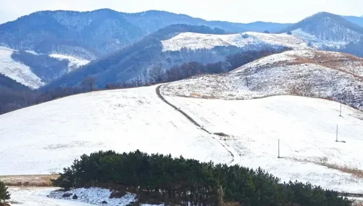 서산한우목장 웰빙산책로 겨울 전경 / 사진=충청남도