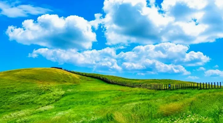 서산한우목장 웰빙산책로 풍경 / 사진=충남관광
