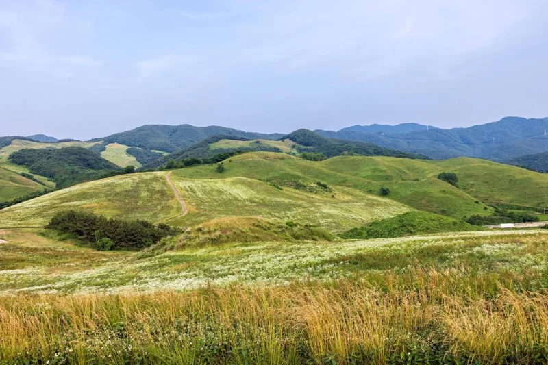 서산한우목장