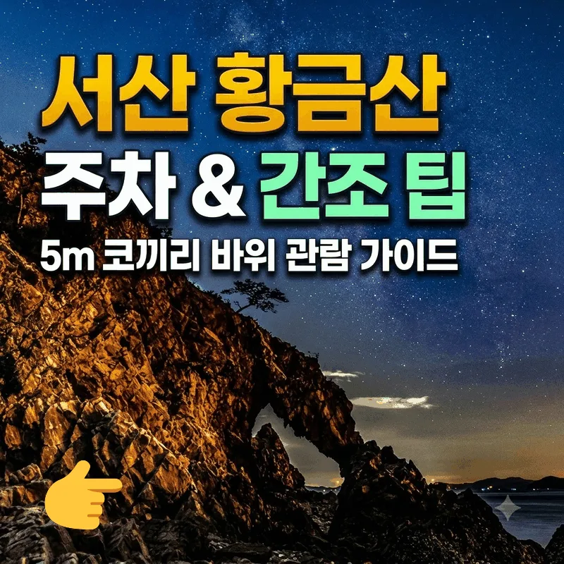 서산 황금산 주차와 5m 코끼리 바위 보는 썰물 시간 팁