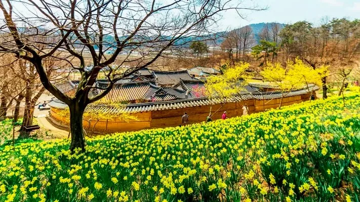 서산 유기방 가옥 풍경 / 사진=게티이미지뱅크