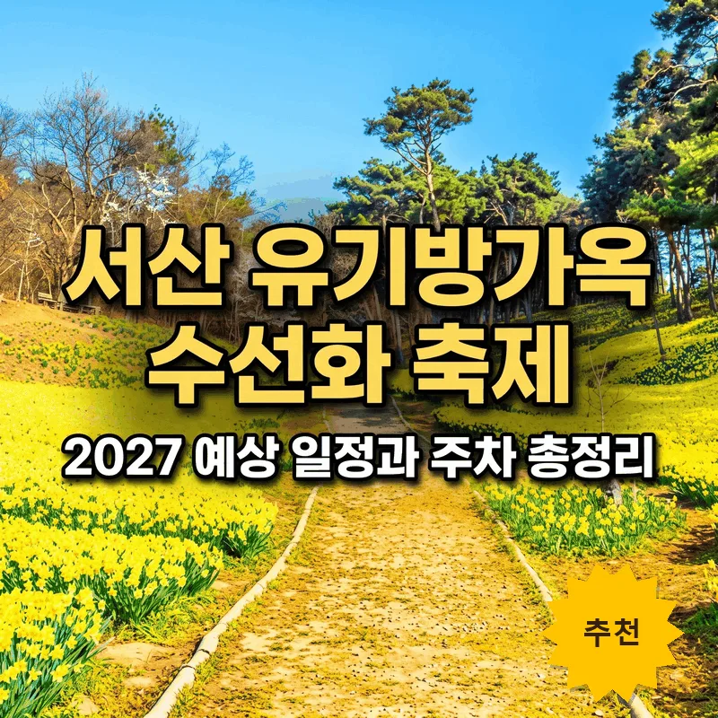 서산 유기방가옥 수선화 축제 2027 예상 일정과 주차 총정리