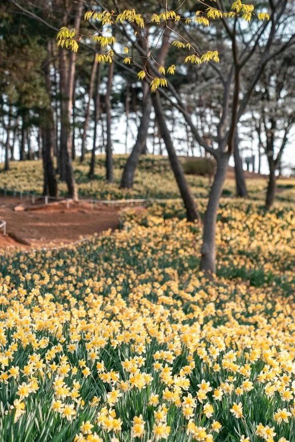 서산 유기방가옥 상세이미지10