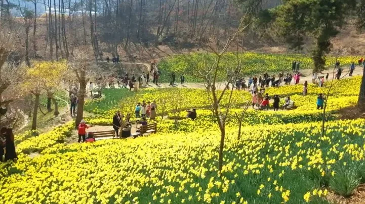 서산 유기방가옥을 찾은 시민들 / 사진=서산유기방가옥