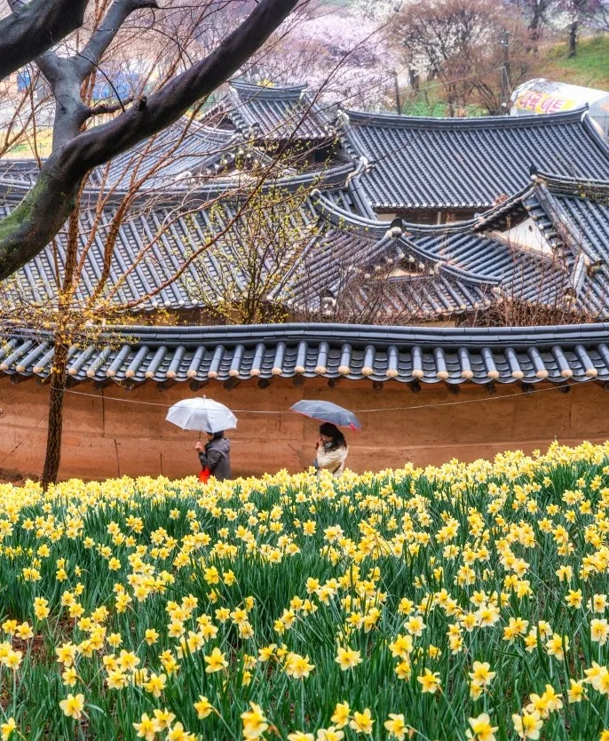 서산 유기방가옥 상세이미지2