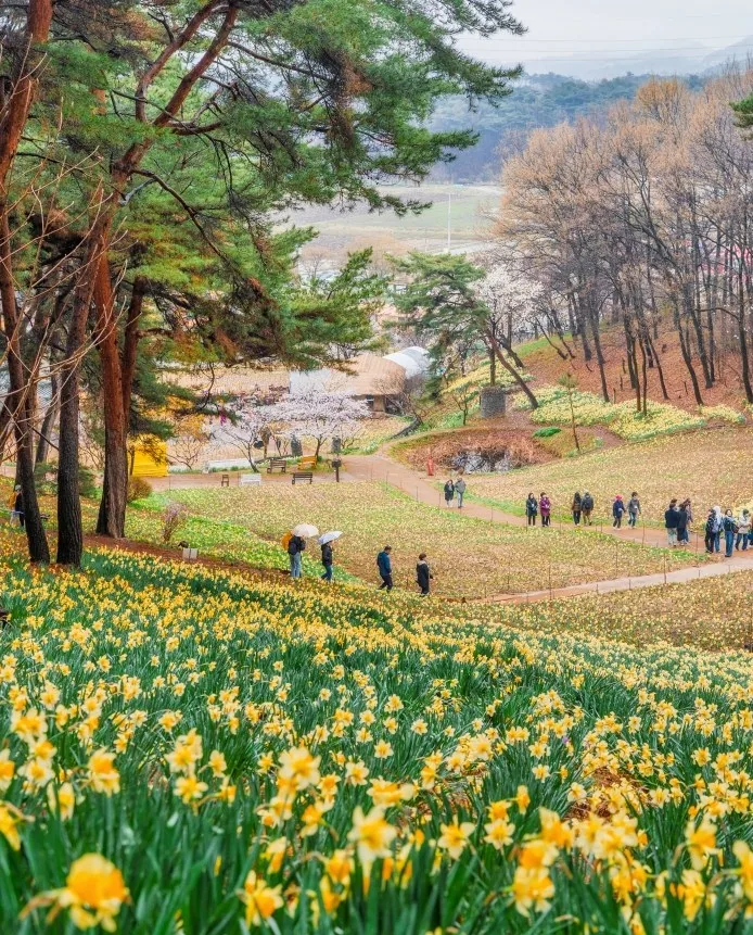 서산 유기방가옥 상세이미지4