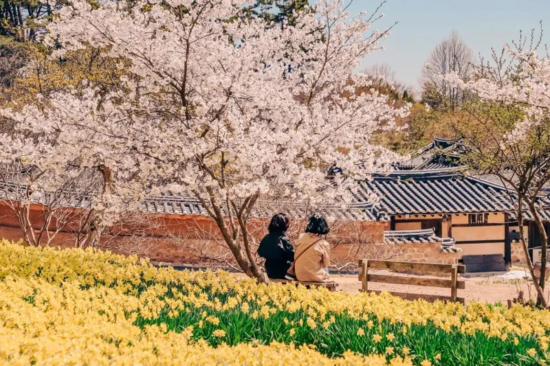 서산 유기방가옥 상세이미지8