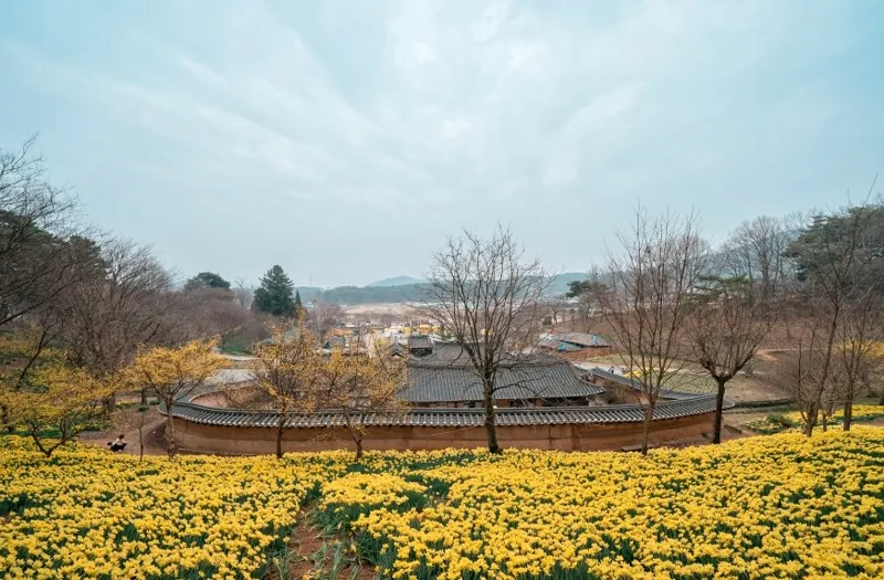 서산 유기방가옥 상세이미지9