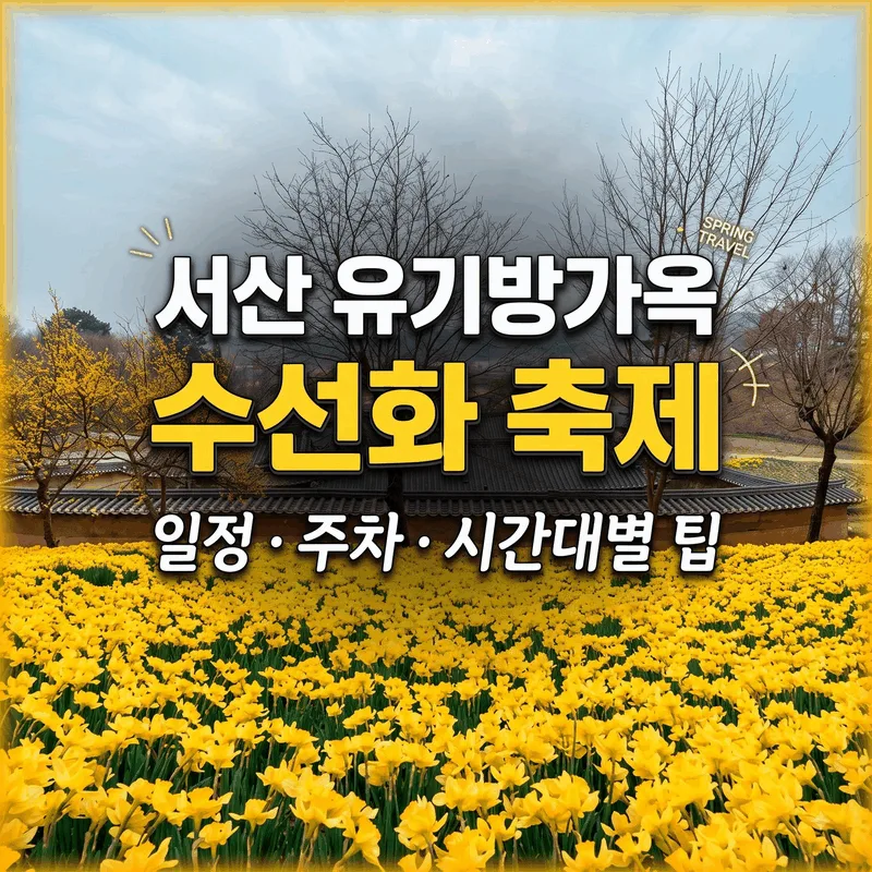 서산 유기방가옥 수선화 축제 일정 주차 시간대별 팁