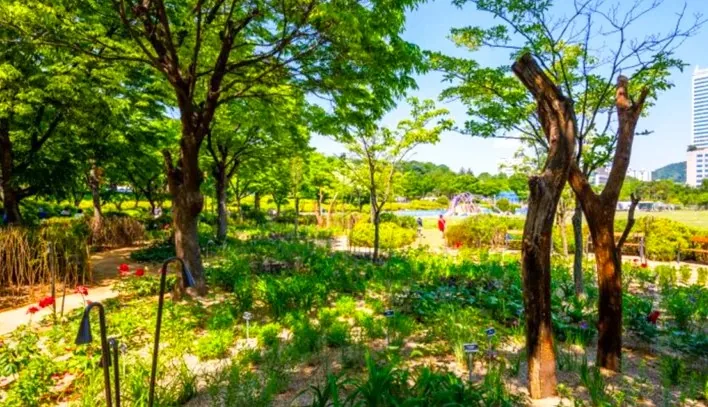 서울국제정원박람회 / 사진=공식 홈페이지