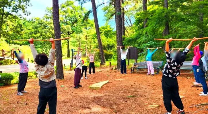 산림 치유 / 사진=안양시 공식 블로그
