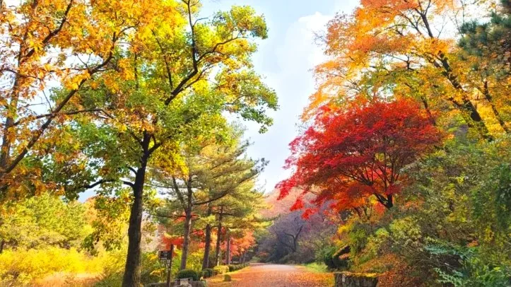 서울대 안양수목원 모습 / 사진=안양시