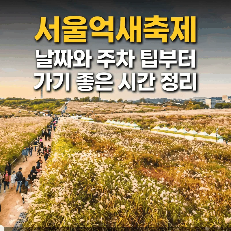 서울억새축제 날짜와 주차 팁부터 가기 좋은 시간 정리