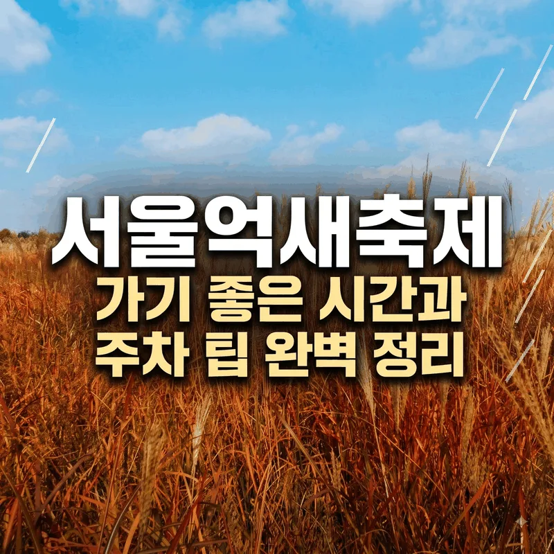 서울억새축제 가기 좋은 시간과 주차 팁 완벽 정리