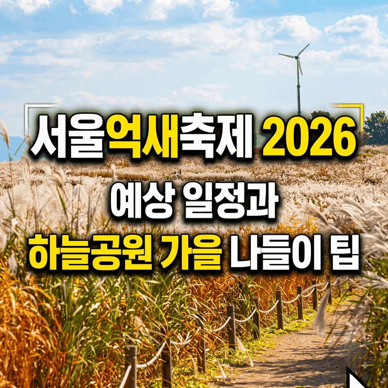 서울억새축제 2026 예상 일정과 하늘공원 가을 나들이 팁