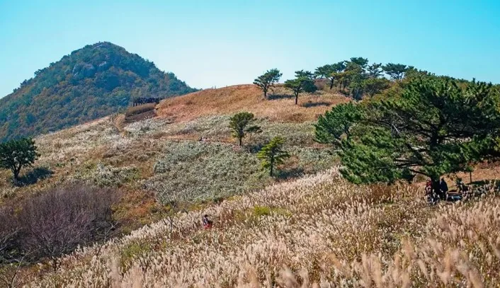 승학산 / 사진=부산관광공사