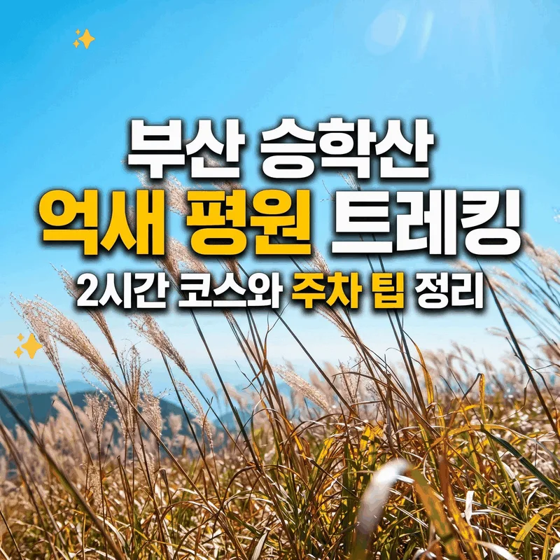 부산 승학산 억새 평원 트레킹, 2시간 코스와 주차 팁 정리