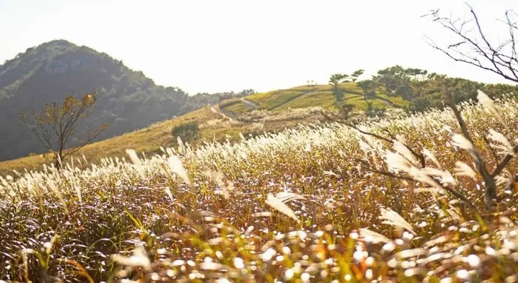 승학산 풍경 / 사진=한국관광콘텐츠랩
