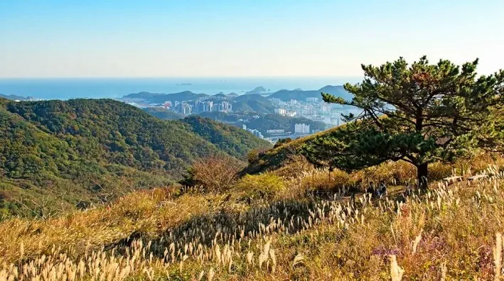 승학산 조망 / 사진=부산관광아카이브