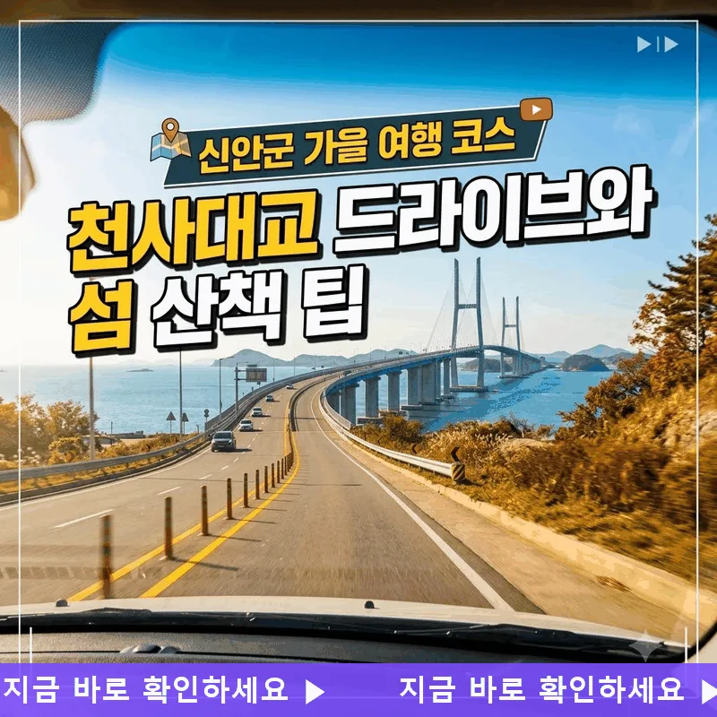 신안군 가을 여행 코스 천사대교 드라이브와 섬 산책 팁