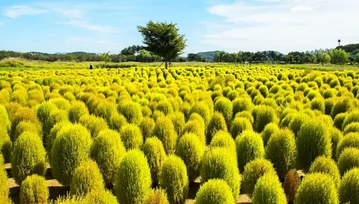 시흥갯골생태공원 / 사진=게티이미지뱅크
