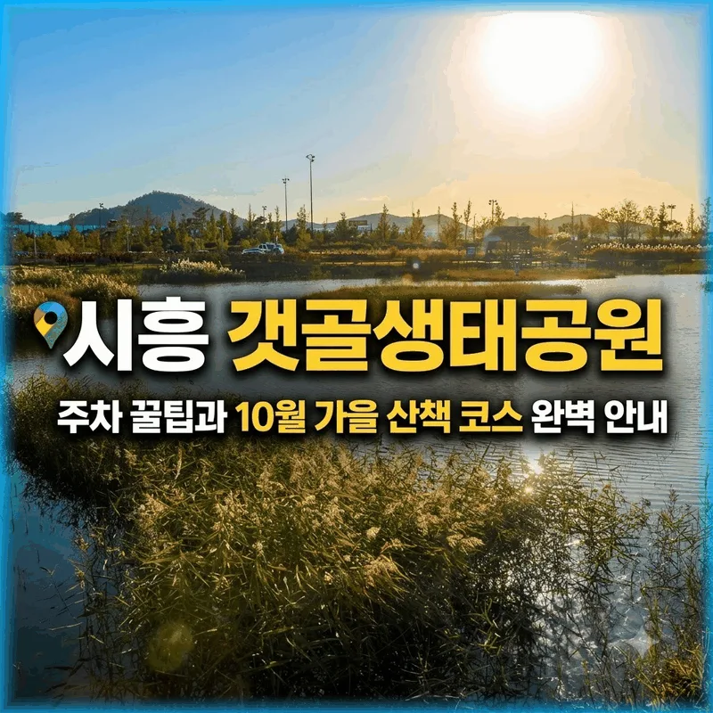 시흥 갯골생태공원 주차 꿀팁과 10월 가을 산책 코스 완벽 안내