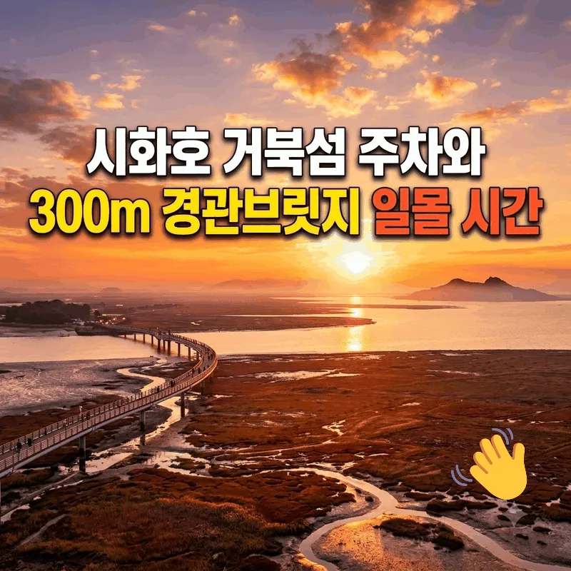 시화호 거북섬 주차와 300m 경관브릿지 일몰 시간